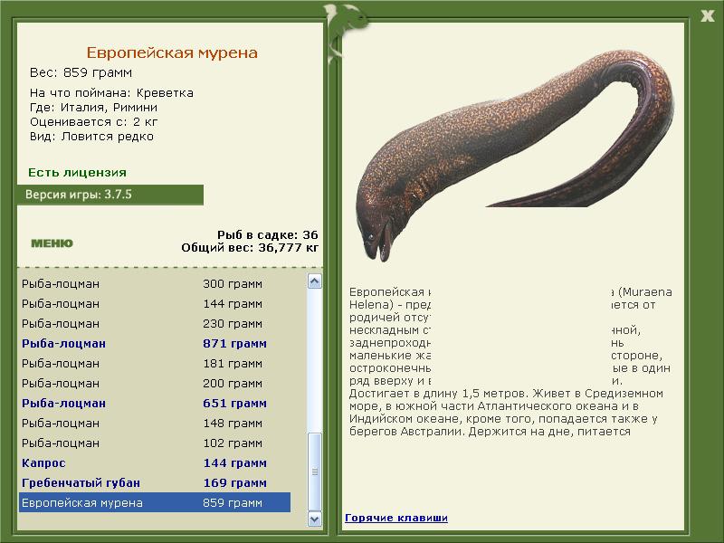 турниры • РУССКАЯ РЫБАЛКА