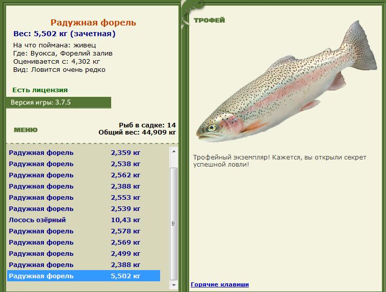турниры • РУССКАЯ РЫБАЛКА