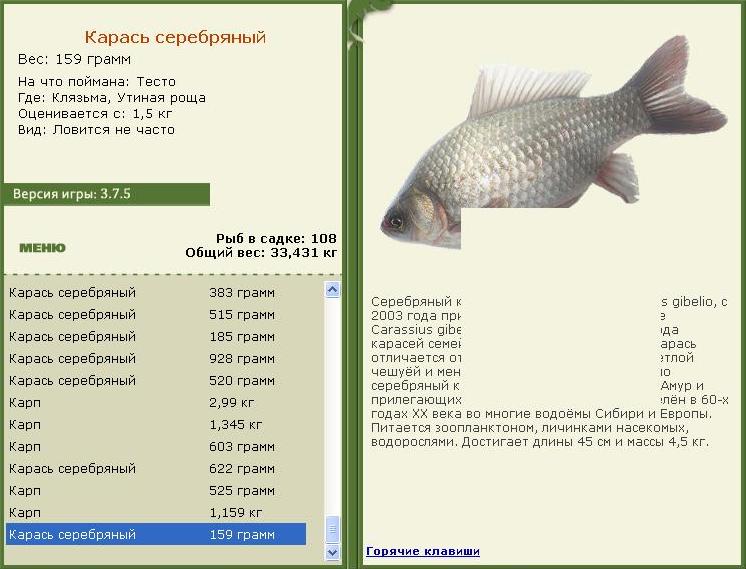 турниры • РУССКАЯ РЫБАЛКА