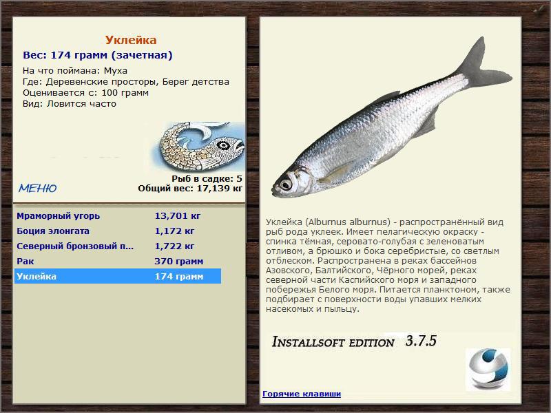 Берег детства 