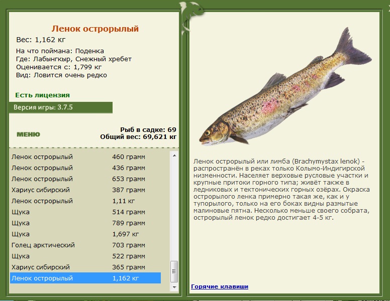 Снежный хребет 