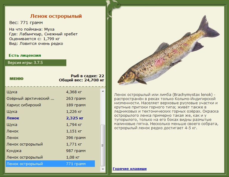 турниры • РУССКАЯ РЫБАЛКА