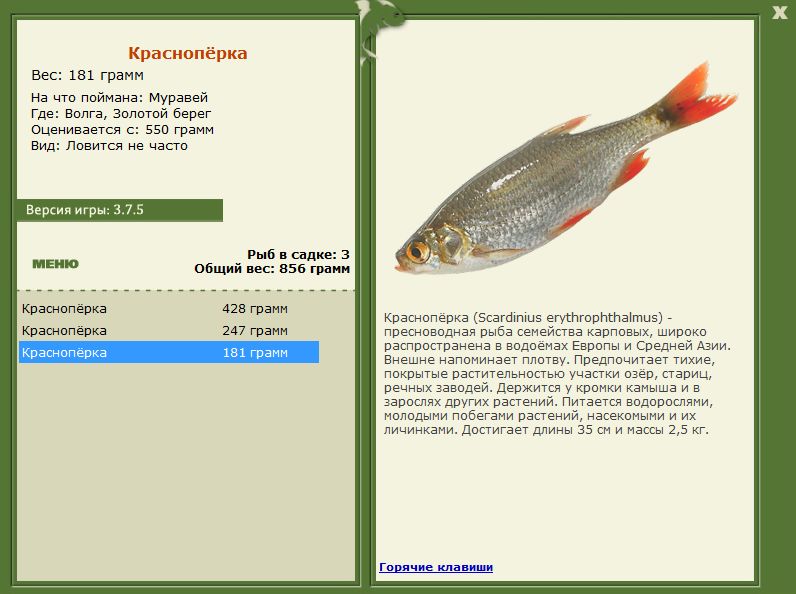 РУССКАЯ РЫБАЛКА Installsoft Edition 