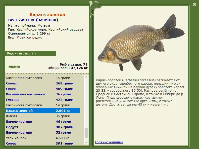 РУССКАЯ РЫБАЛКА Installsoft Edition 