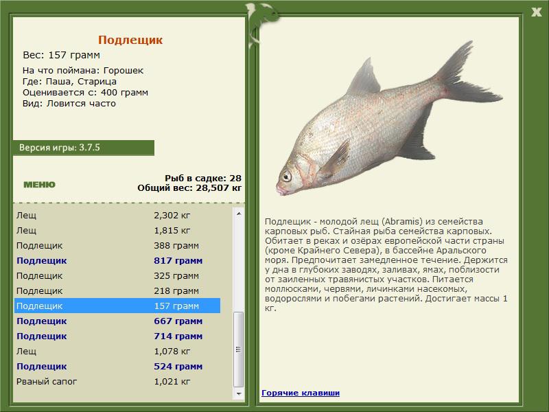 турниры • РУССКАЯ РЫБАЛКА