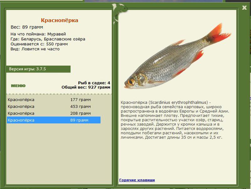 РУССКАЯ РЫБАЛКА Installsoft Edition 