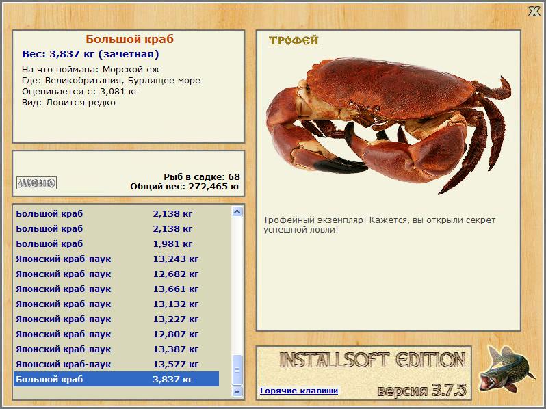 Бурлящее море 