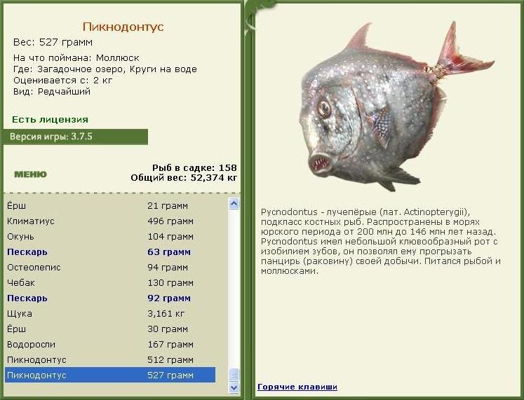 Загадочное озеро 
