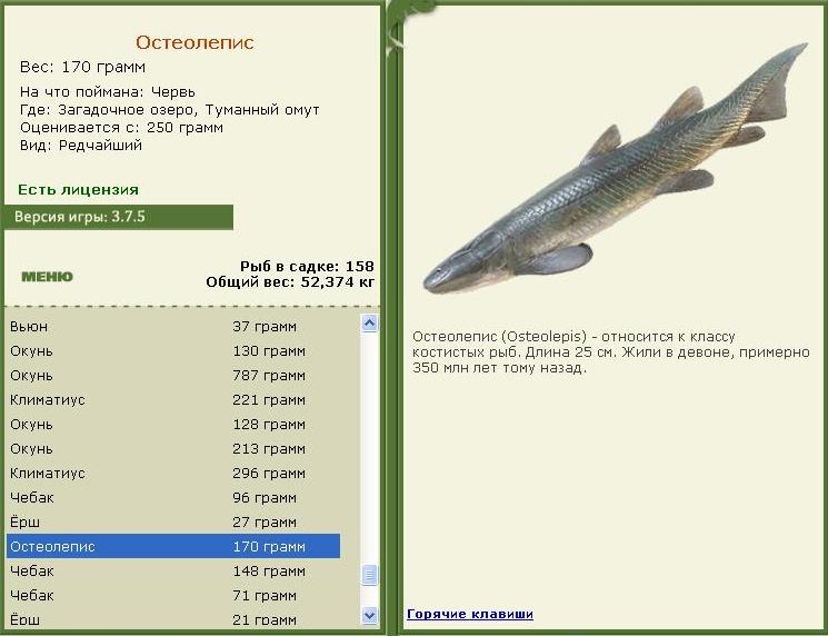 Загадочное озеро 