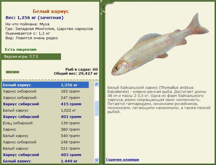 турниры • РУССКАЯ РЫБАЛКА