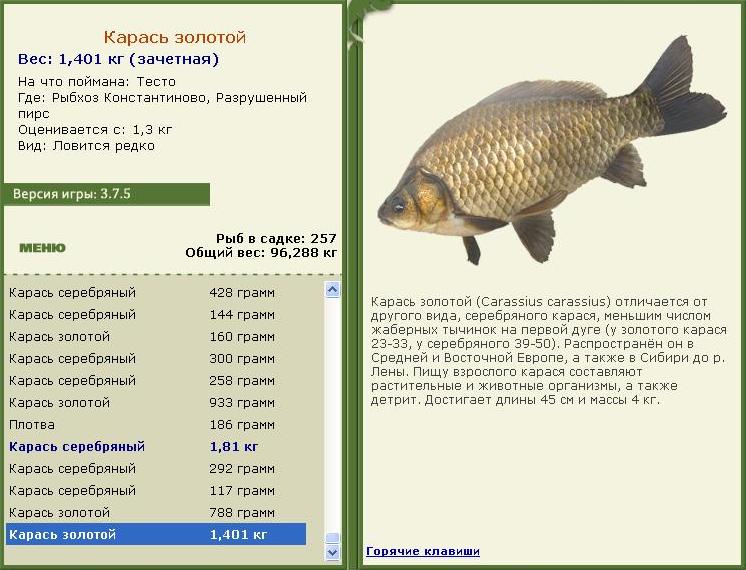турниры • РУССКАЯ РЫБАЛКА