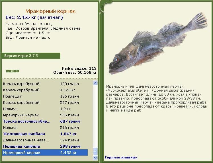 турниры • РУССКАЯ РЫБАЛКА