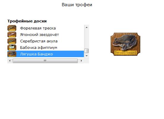 Торренс 