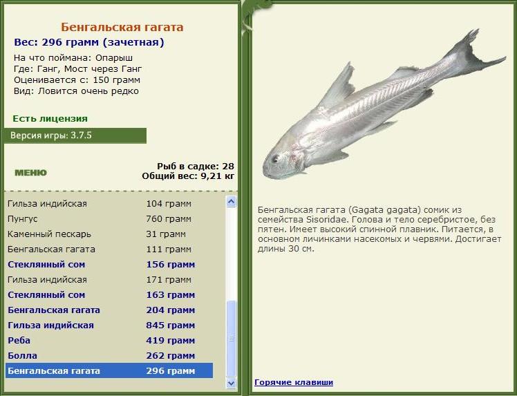 турниры • РУССКАЯ РЫБАЛКА