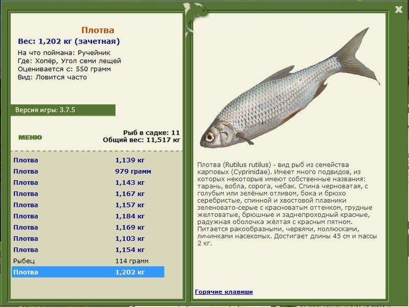 РУССКАЯ РЫБАЛКА Installsoft Edition 