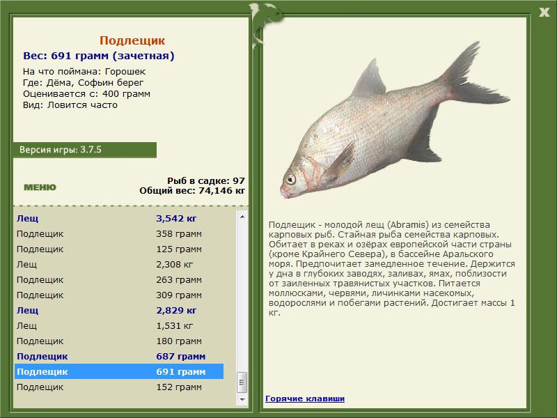 Софьин берег 