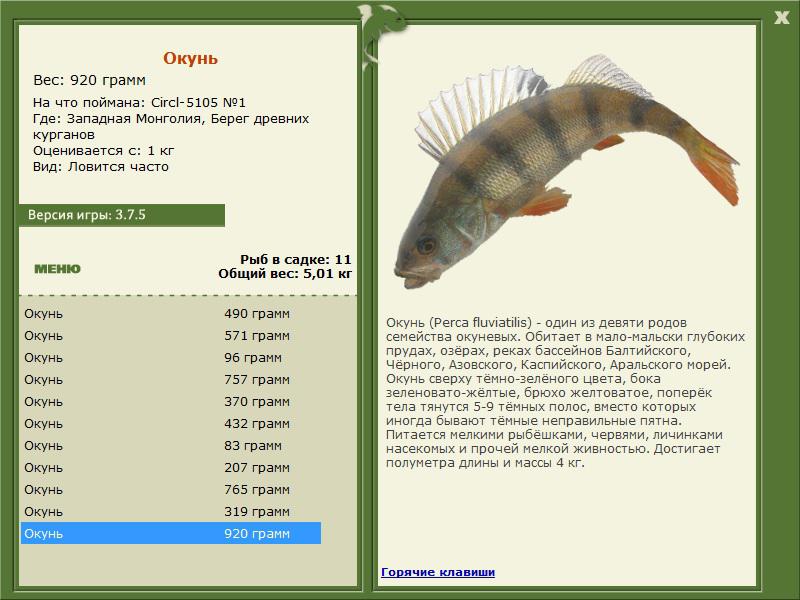 РУССКАЯ РЫБАЛКА Installsoft Edition 