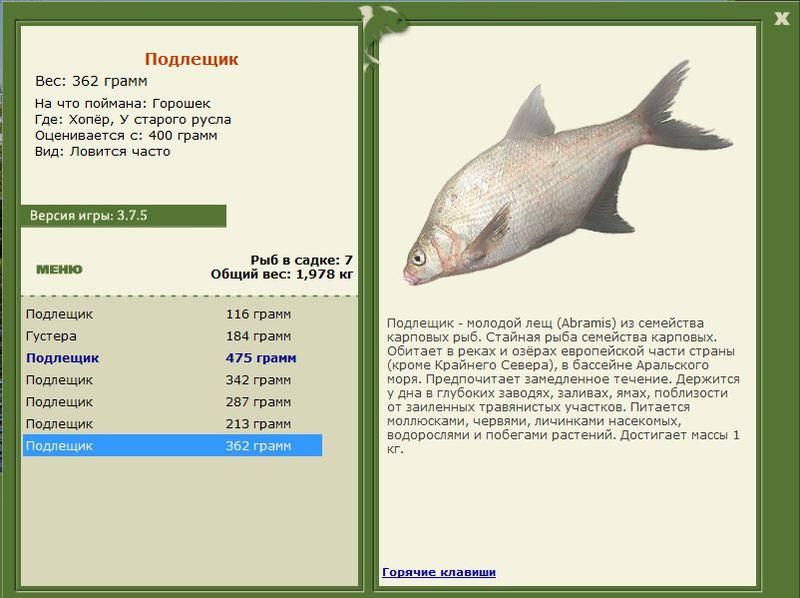 РУССКАЯ РЫБАЛКА Installsoft Edition 