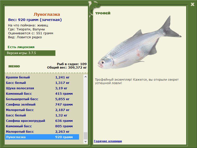 Луноглазка 