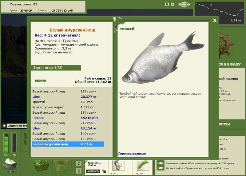 Амударьинский разлив 