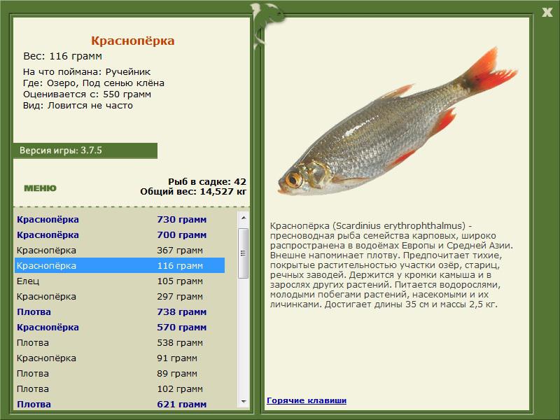 РУССКАЯ РЫБАЛКА Installsoft Edition 