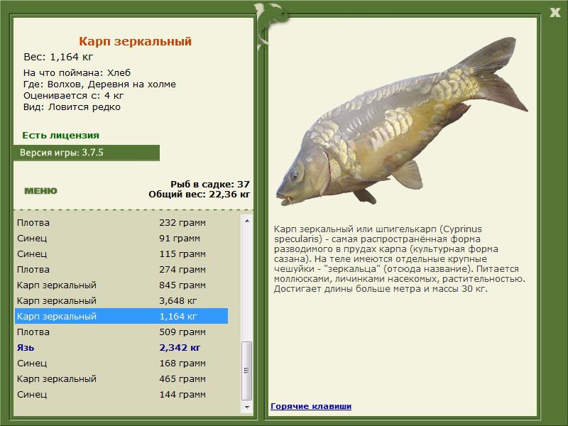 РУССКАЯ РЫБАЛКА Installsoft Edition 