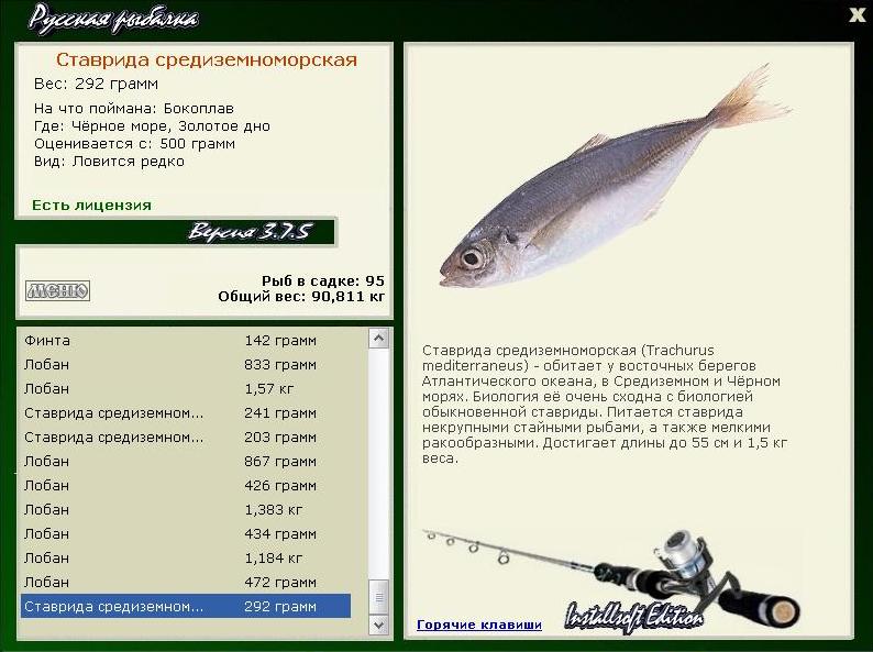 турниры • РУССКАЯ РЫБАЛКА