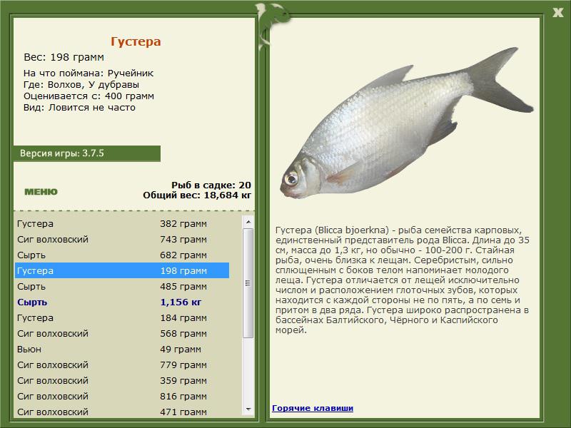 РУССКАЯ РЫБАЛКА Installsoft Edition 