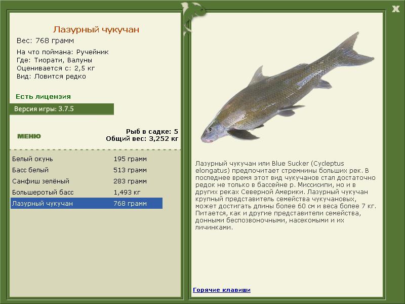 турниры • РУССКАЯ РЫБАЛКА