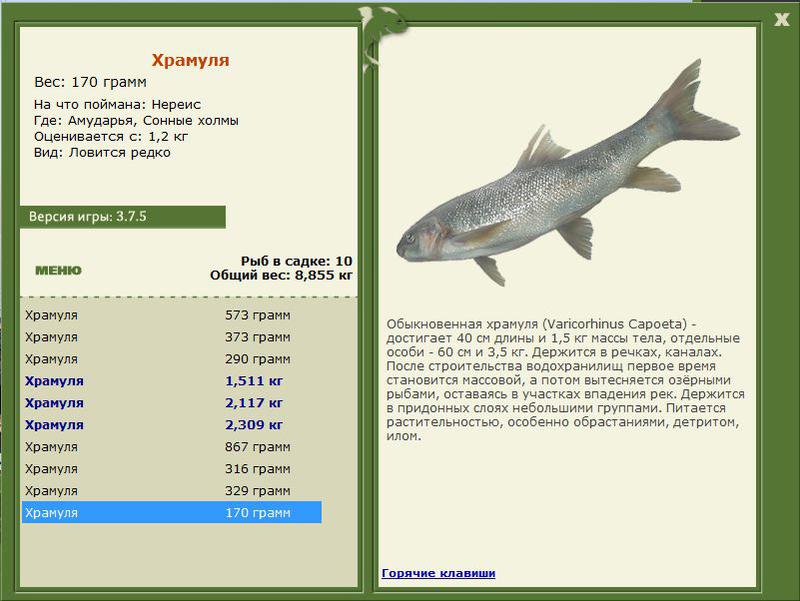 РУССКАЯ РЫБАЛКА Installsoft Edition 