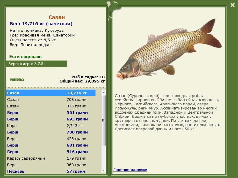 Санаторий 