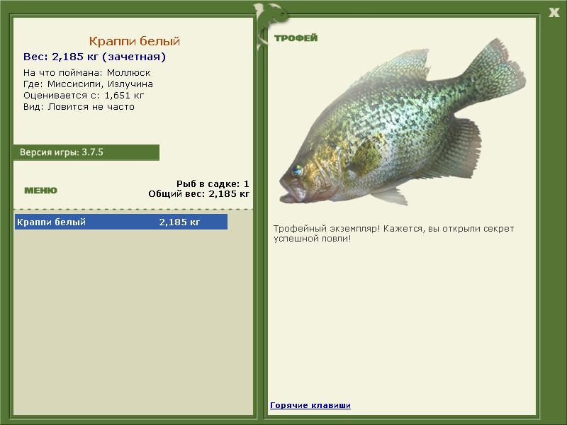 Краппи белый 