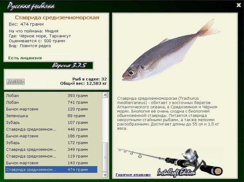 турниры • РУССКАЯ РЫБАЛКА