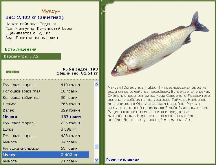 турниры • РУССКАЯ РЫБАЛКА