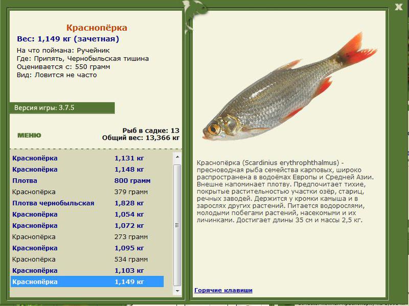 РУССКАЯ РЫБАЛКА Installsoft Edition 
