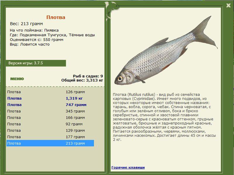 РУССКАЯ РЫБАЛКА Installsoft Edition 