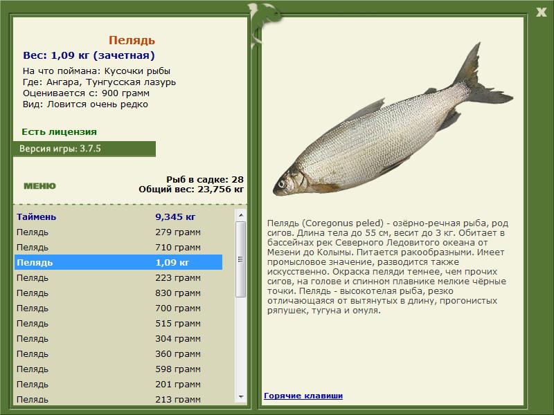 РУССКАЯ РЫБАЛКА Installsoft Edition 