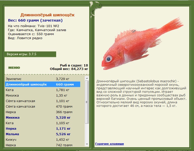 Камчатский залив 