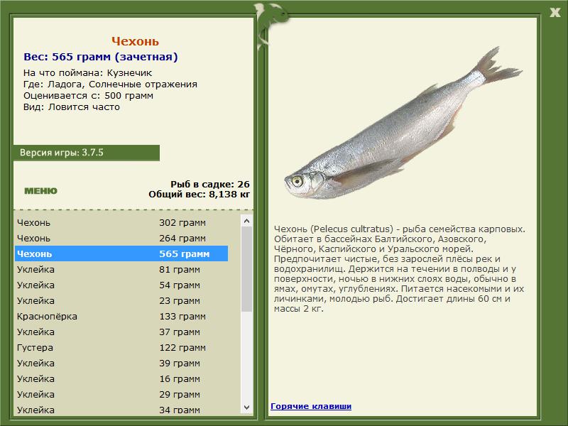 РУССКАЯ РЫБАЛКА Installsoft Edition 