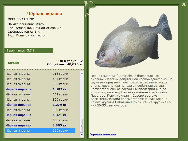 Ночная Амазонка 