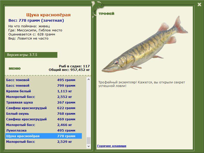 Щука краснопёрая 