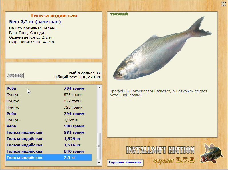 Гильза индийская 