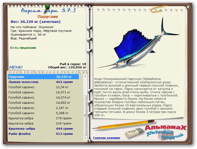 Красное море 
