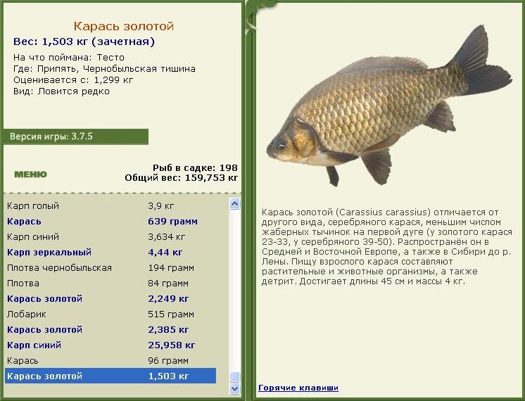турниры • РУССКАЯ РЫБАЛКА