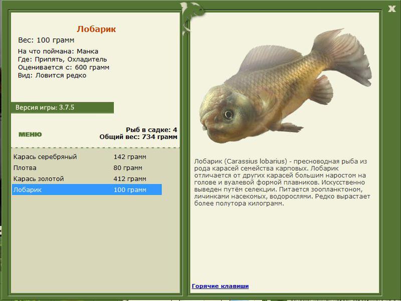 РУССКАЯ РЫБАЛКА Installsoft Edition 