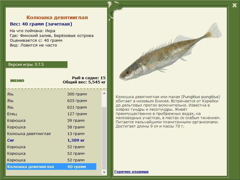 Берёзовые острова 