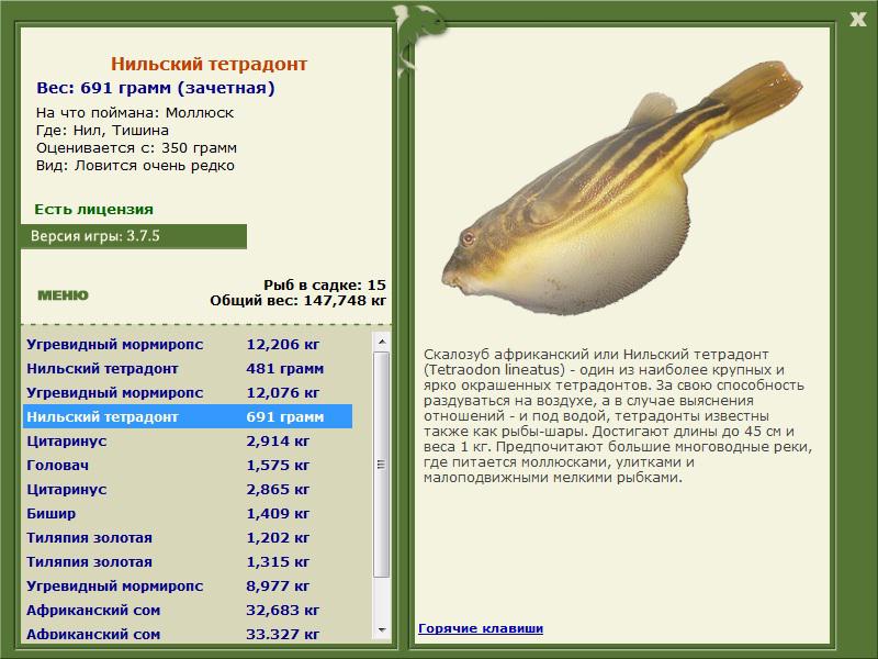Нил 