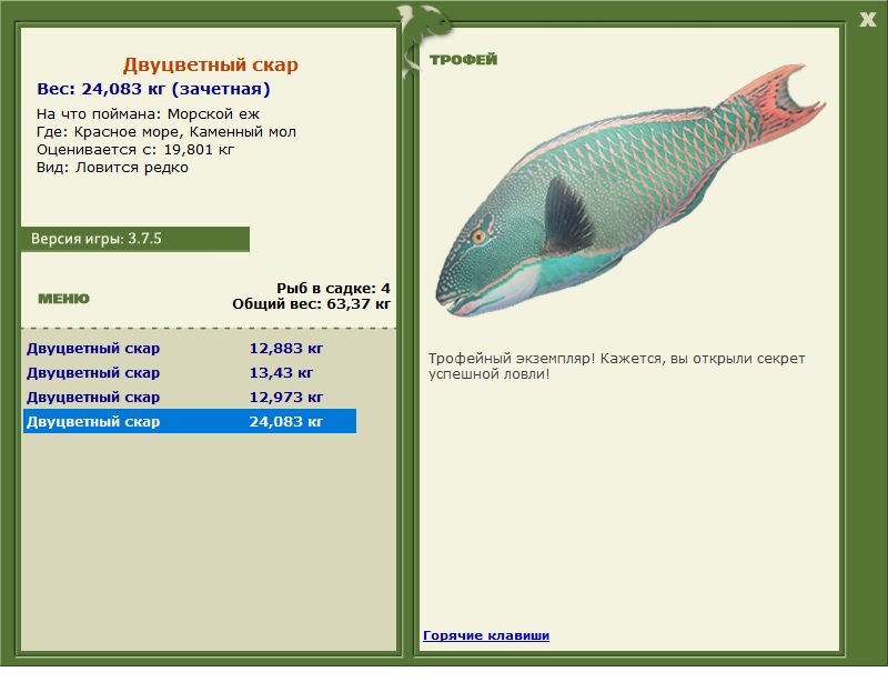 Морской ёж 