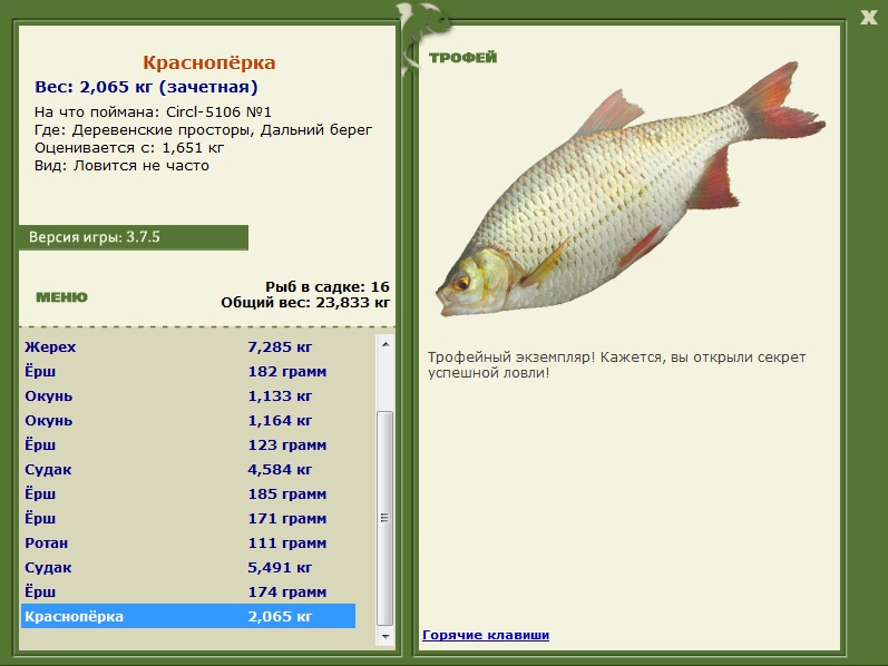 Дальний берег 