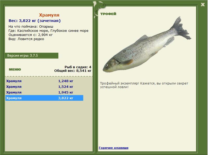 Глубокое синее море 